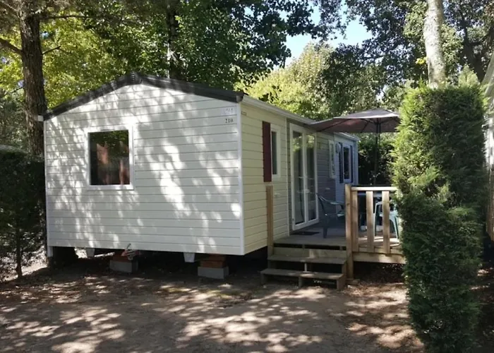Zecamping 5 Avec Piscine Chauffee Dog Friendly Sauna Tennis 3km * Vieux-Boucau-les-Bains