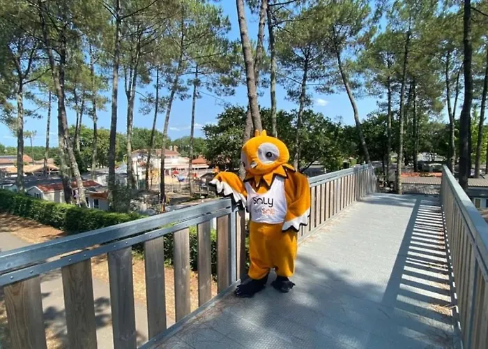 캠프장 5 Etoiles - Piscine - Ccb0e0c *